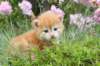 img_7352_small.jpg