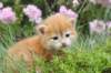 img_7356_small.jpg