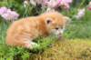 img_7357_small.jpg
