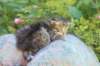 kaniel3weeksand2days17617_small.jpg