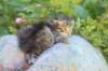 kaniel3weeksand2days17619_small.jpg