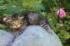 kaniel3weeksand2days1761_small.jpg