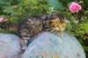 keanna3weeksand2days17612_small.jpg