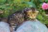 keanna3weeksand2days17619_small.jpg