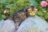 keanna3weeksand2days1761_small.jpg