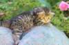 keanna3weeksand2days17621_small.jpg