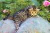 keanna3weeksand2days17623_small.jpg