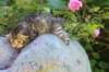 keanna3weeksand2days1764_small.jpg