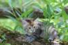 keziah6weeks773_small.jpg