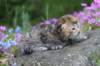 keziahgirl13days7622_small.jpg