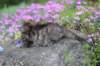 keziahgirl13days7624_small.jpg