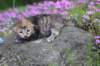 keziahgirl13days7629_small.jpg