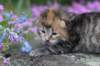 keziahgirl13days7634_small.jpg