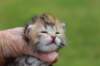 keziahgirl13days7636_small.jpg