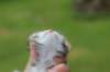 keziahgirl13days7638_small.jpg