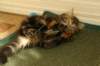 img_8926_small.jpg