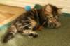 img_8927_small.jpg