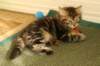 img_8928_small.jpg