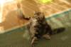 img_8948_small.jpg