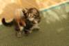 img_8954_small.jpg