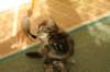 img_8959_small.jpg