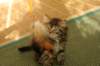 img_8960_small.jpg