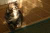 img_8971_small.jpg
