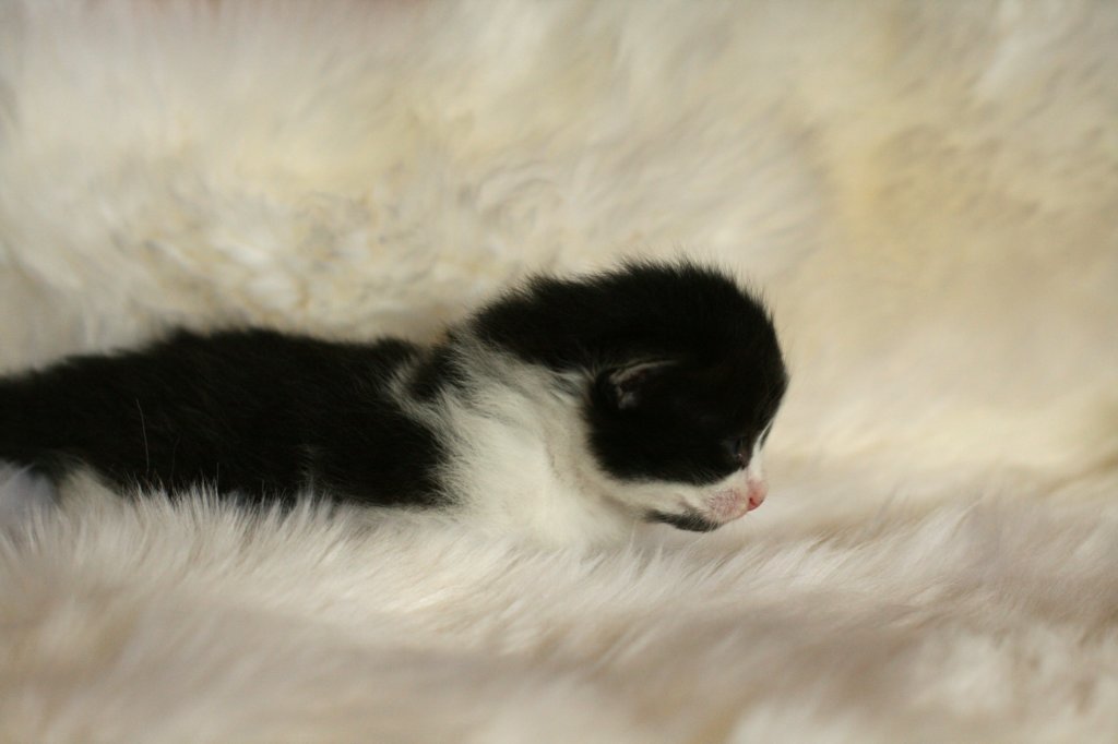 laikkuimg_8165.jpg