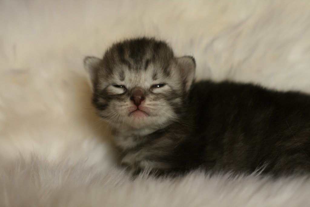tikruimg_8334.jpg