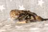 boy1ny22img_966410_small.jpg