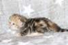 boy1ny22img_966411_small.jpg