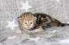 boy1ny22img_966413_small.jpg