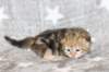 boy1ny22img_96646_small.jpg