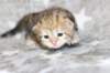 boy1ny22img_96648_small.jpg