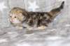 boy1ny22img_96649_small.jpg