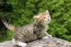 girl3img_0280_small.jpg