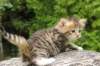 img_0273_small.jpg