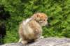 img_0429_small.jpg