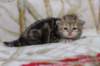 l3boy1sibny22img_995514_small.jpg