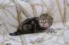 l3boy1sibny22img_995518_small.jpg