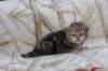 l3boy1sibny22img_995519_small.jpg