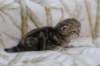 l3boy1sibny22img_995522_small.jpg