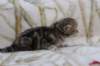 l3boy1sibny22img_995523_small.jpg