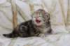 l3boy1sibny22img_99552_small.jpg