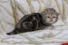l3boy1sibny22img_995530_small.jpg
