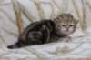 l3boy1sibny22img_995531_small.jpg