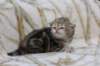 l3boy1sibny22img_995534_small.jpg