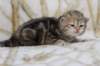 l3boy1sibny22img_99556_small.jpg