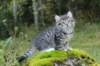 leaimg_199010_small.jpg