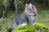 leaimg_199011_small.jpg